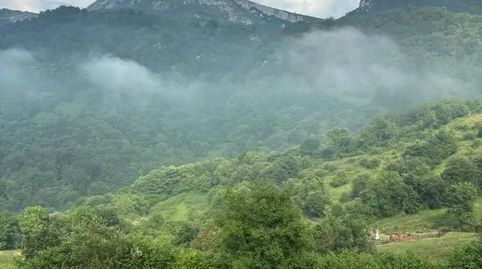Foto 2 de Casa o chalet en venta en Mo-5, 13, Quirós, Asturias