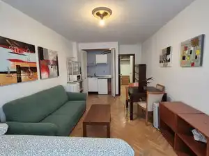 Sala de estar de Estudio de alquiler en Chamberí