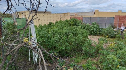 Foto 2 de Terreno en venta en Torre de la Reina, Guillena