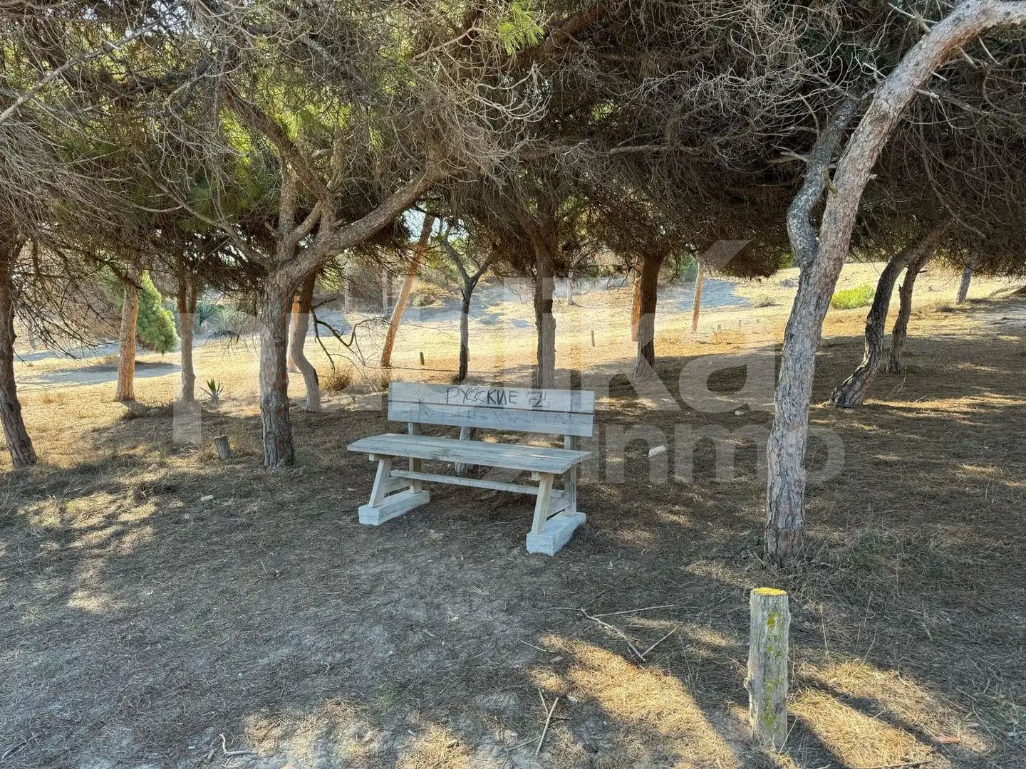Commercial properties for sale in Guardamar del Segura  with Terrace