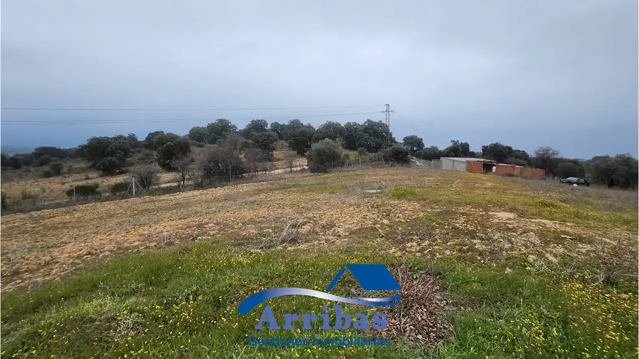 Country homes for sale in Escalona