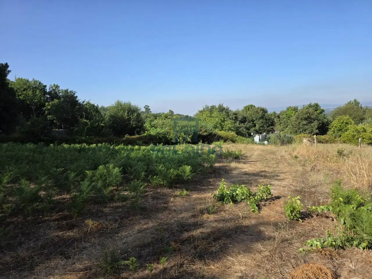 Residential land for sale in O Pereiro de Aguiar, imagen 6