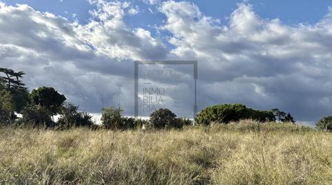 Foto 5 de Residencial en venda a Carrer de la Indústria, 50, Can Sans, Barcelona