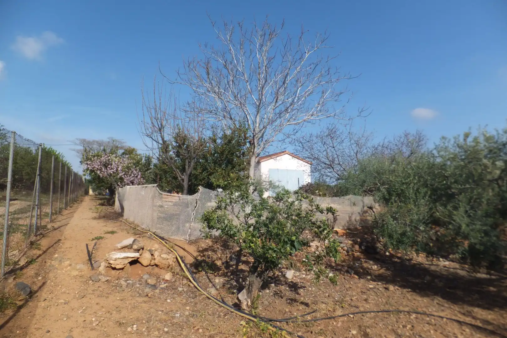 Terreno residencial en venta en Riudoms, imagen 17