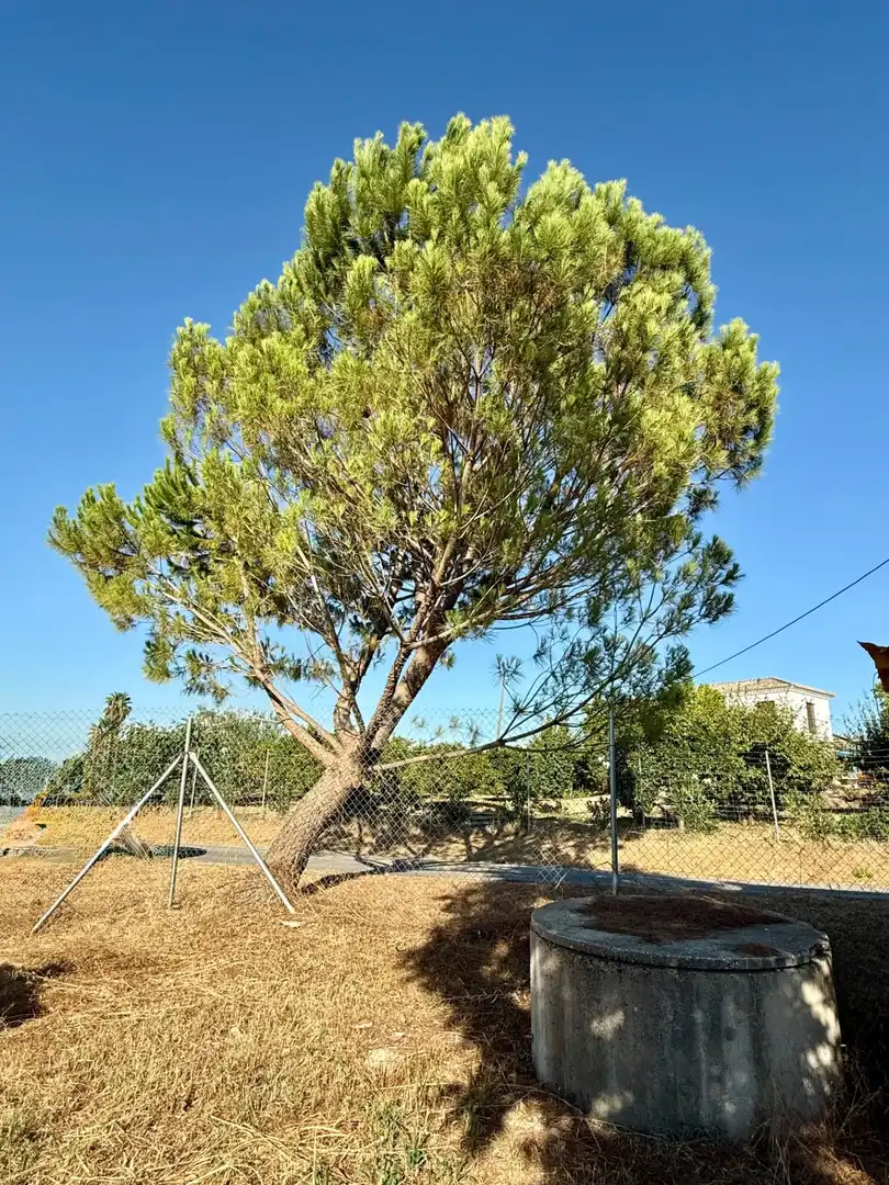 Terrenys i solars en venda a Coín, imagen 10