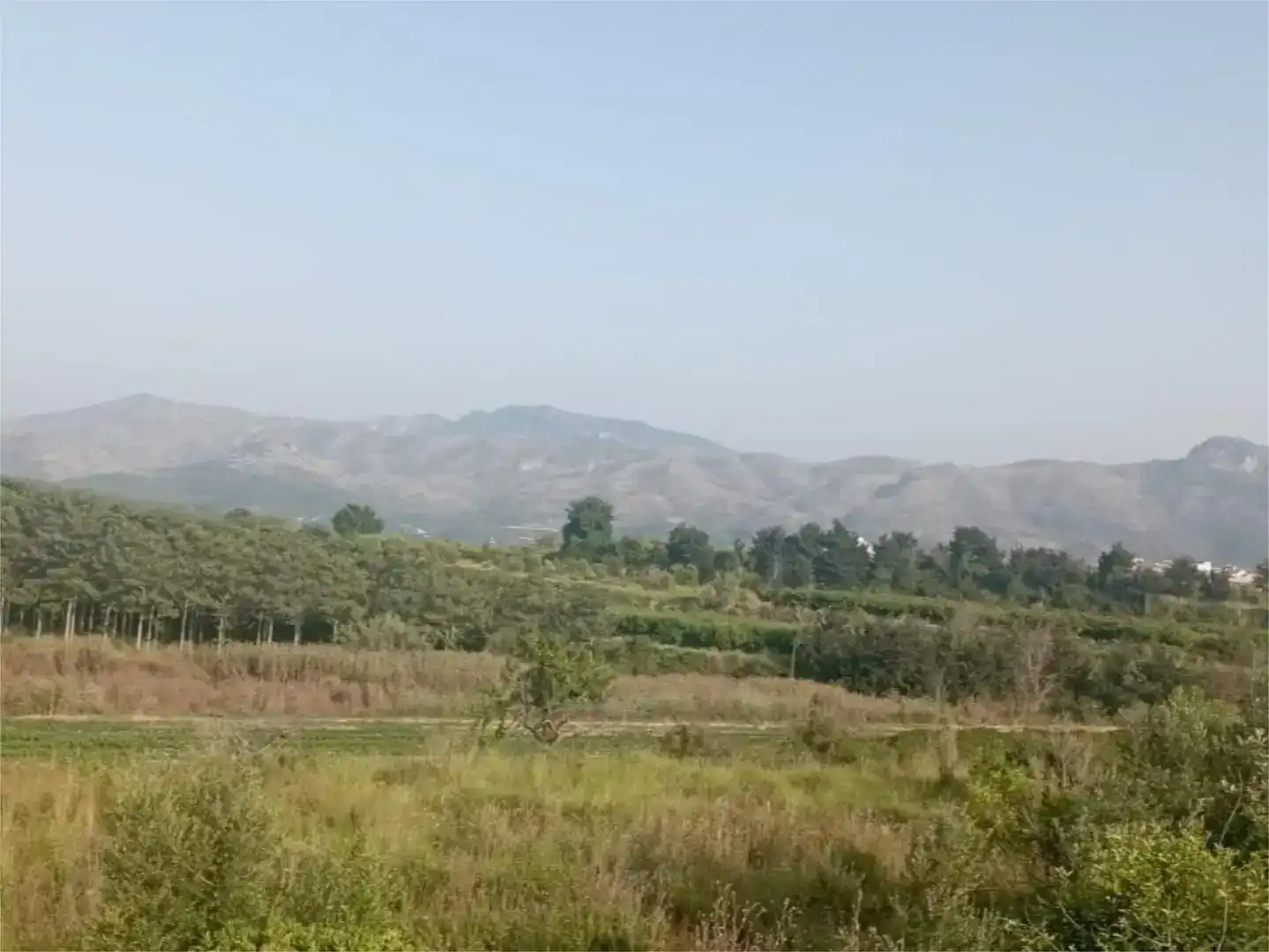 Terreno en venta en Llutxent, Valencia