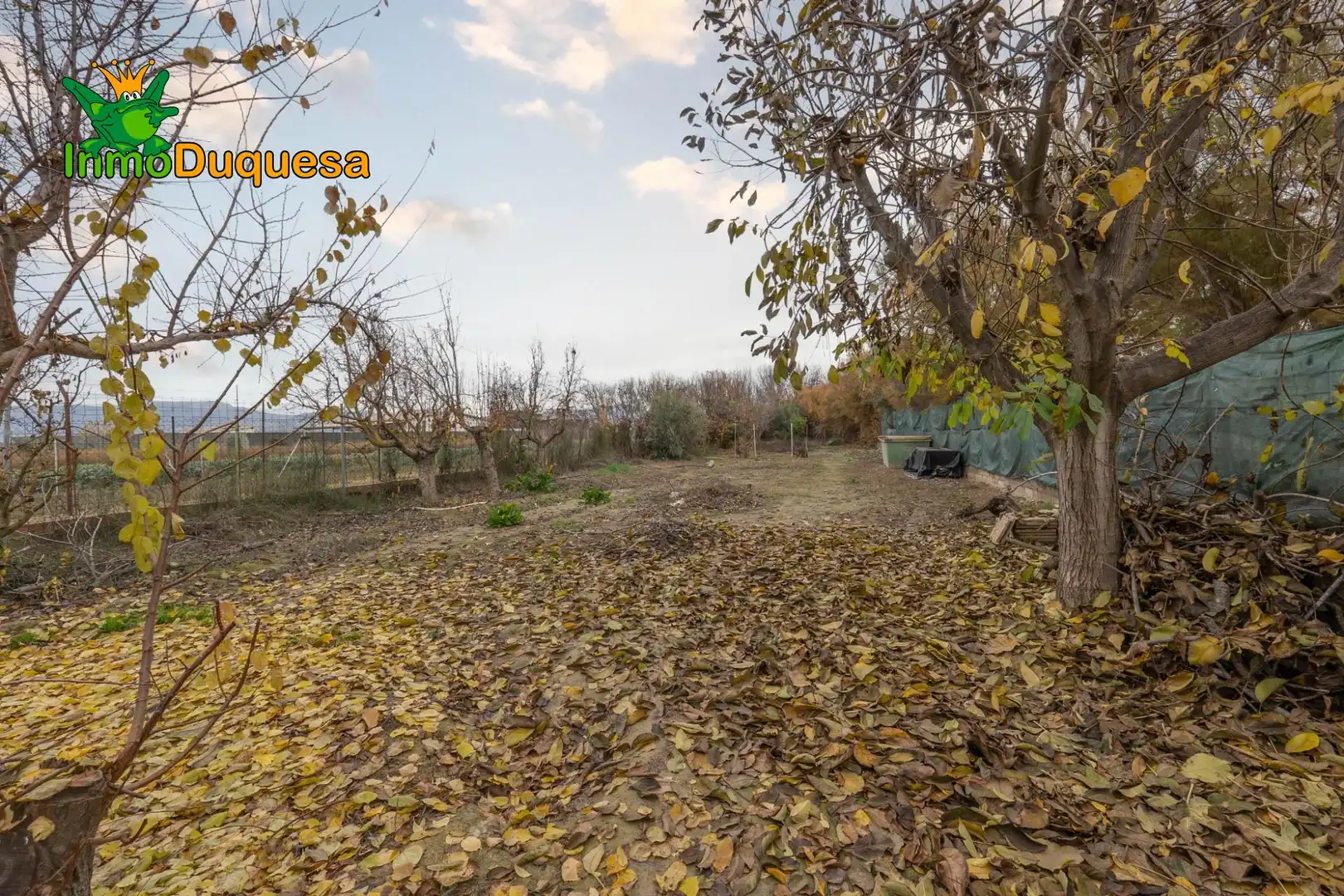 Country homes for sale in Chauchina