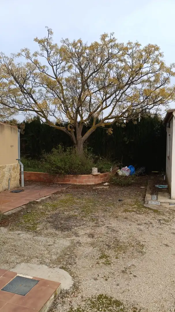 Jardí de Casa o xalet en venda en Beneixama amb Aire condicionat, Calefacció i Jardí privat