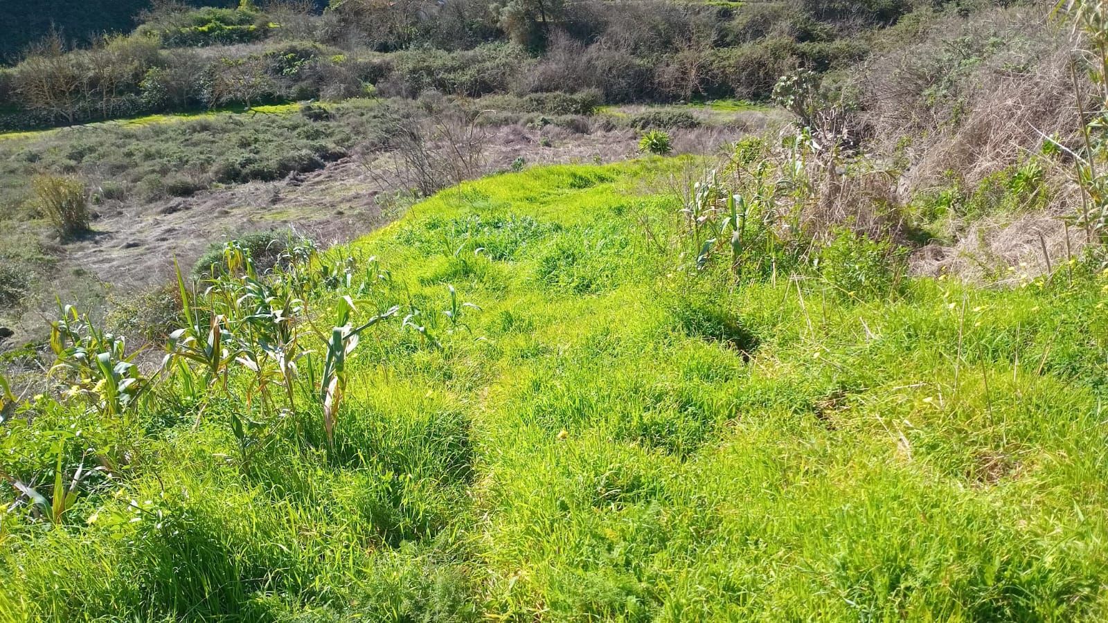 Local en venta en Tejeda