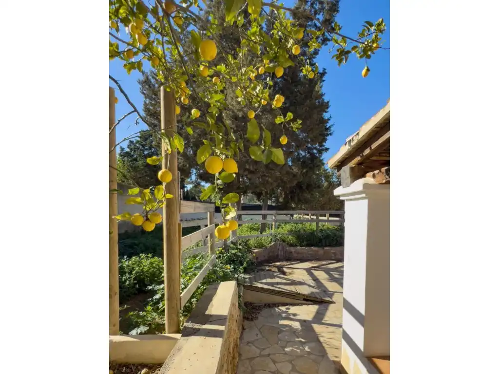 Villa zum Verkauf in Sant Agustí-Cala de Bou, imagen 36