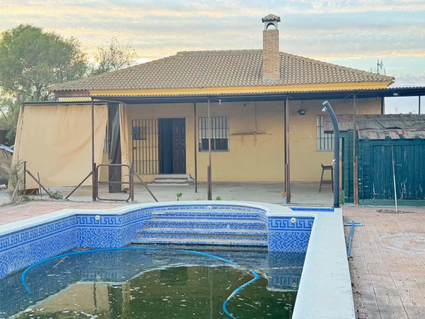 Piscina de Casa o chalet en venta en Los Palacios y Villafranca con Jardín privado, Trastero y Piscina