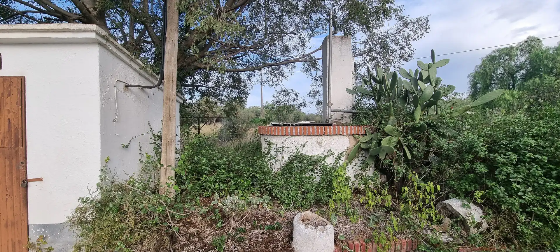 Finca rústica en venta en Vial Camino, Riudoms