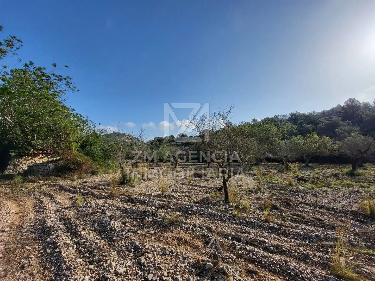 Rural land for sale in Cervera del Maestre, imagen 4