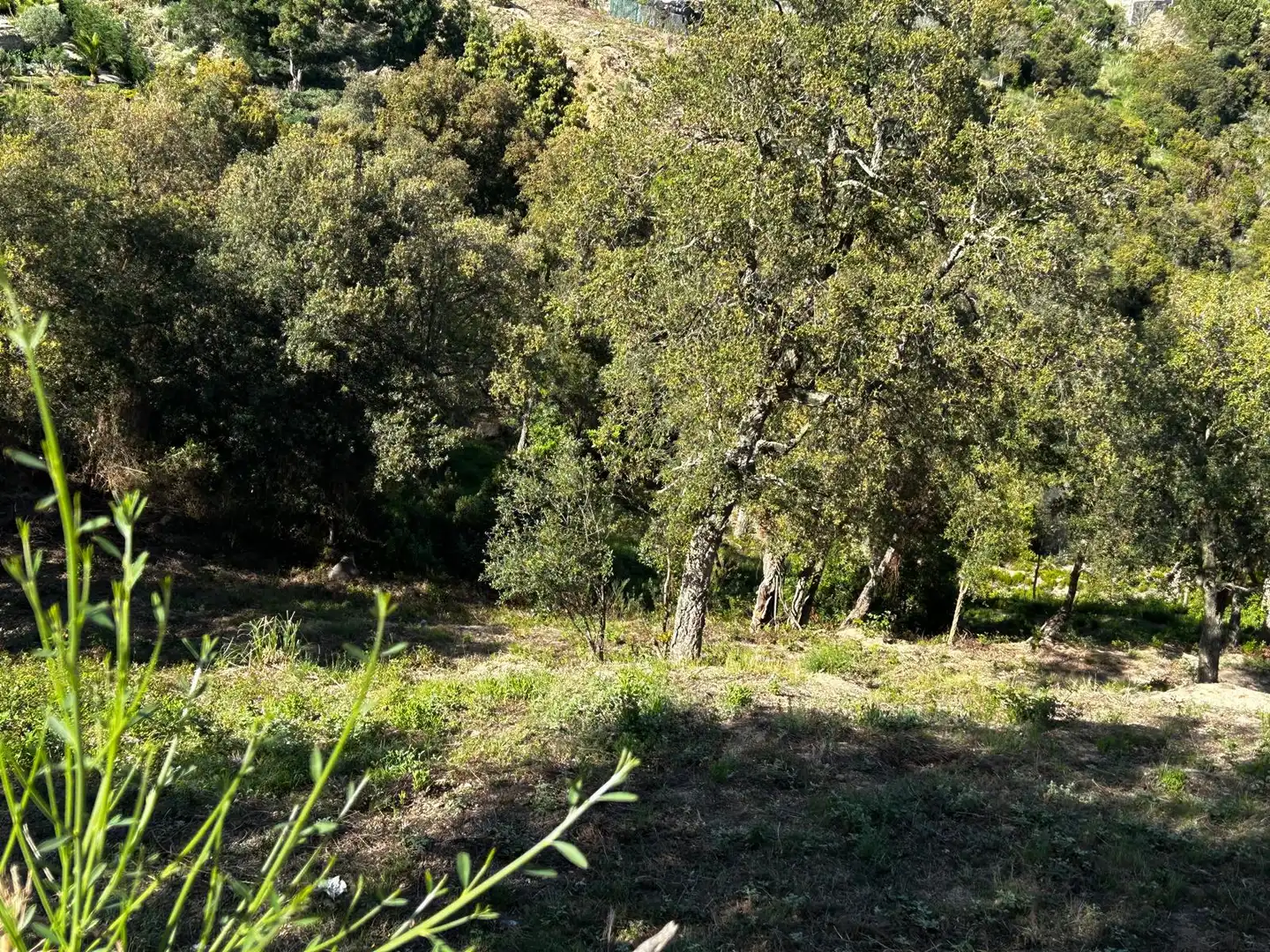 Wohnbaugrundstück zum Verkauf in Lloret Residencial - Montlloret, imagen 10