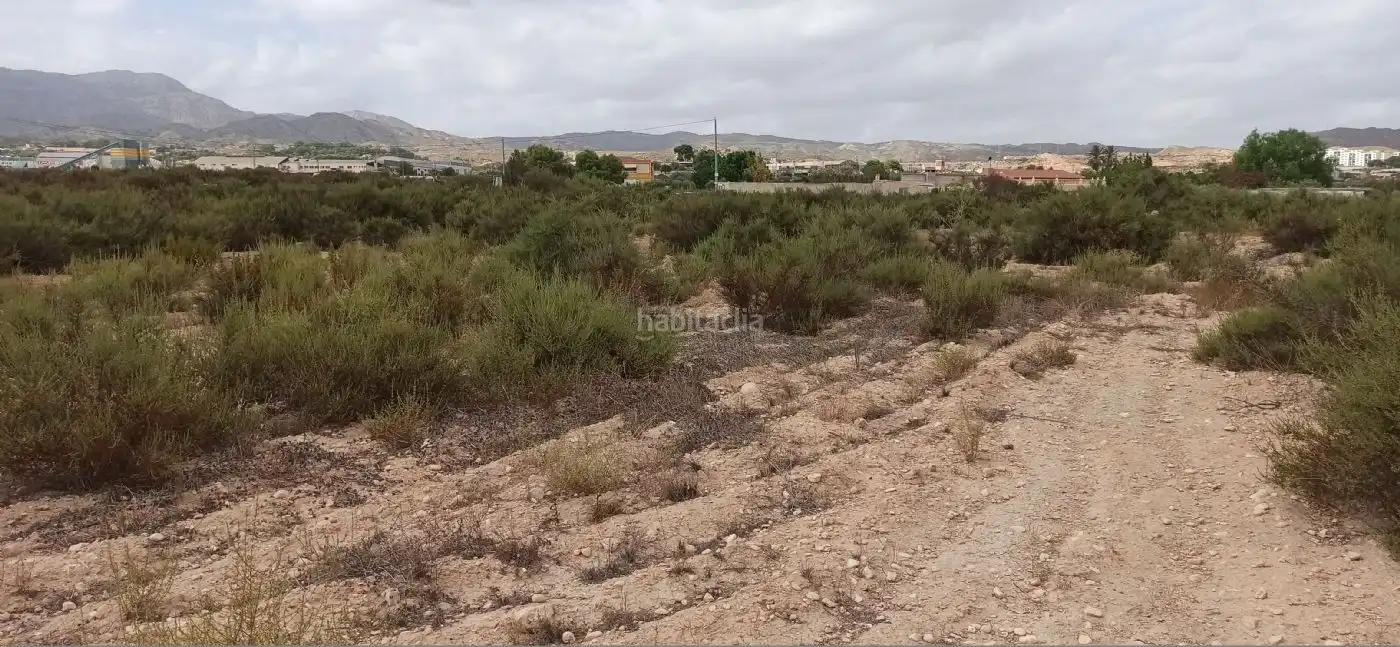 Industrial land for sale in Partida Portazgo 17a, imagen 2
