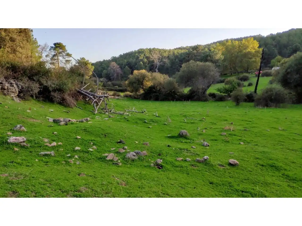 Residencial en venta en Las Navas del Marqués 