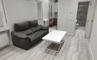 Living room of Flat for sale in  Madrid Capital  with Air Conditioner, Heating and Furnished