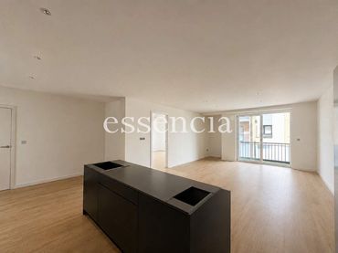 Pis amb ascensor en venda a Centro Ciudad