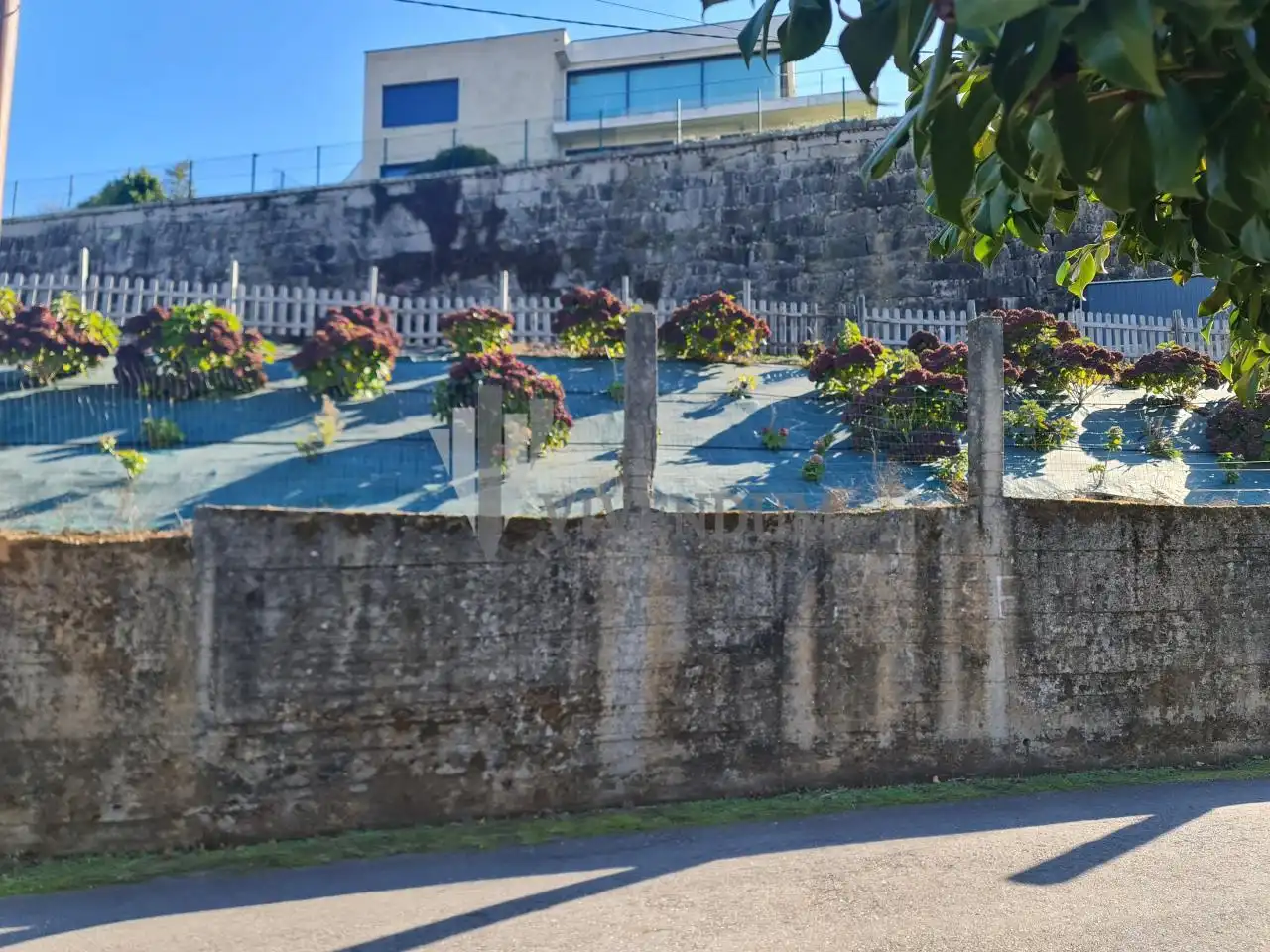 Wohnbaugrundstück zum Verkauf in Lavadores, imagen 18