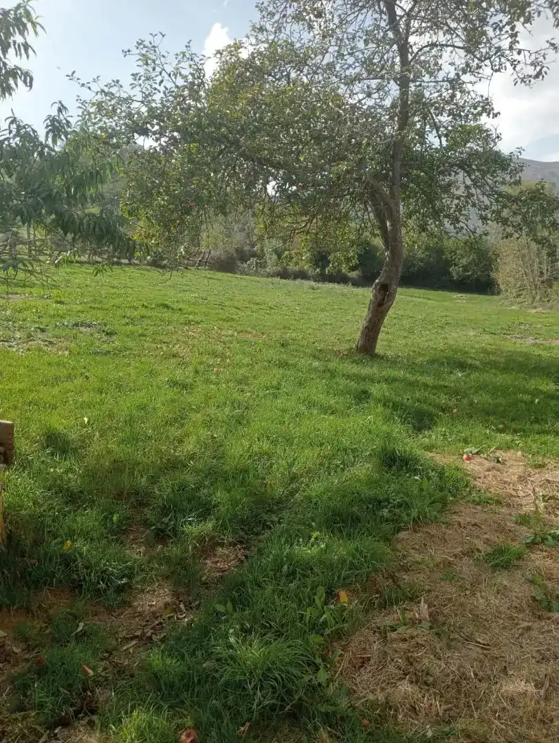 Casa o xalet en venda en Laviana amb Balcó