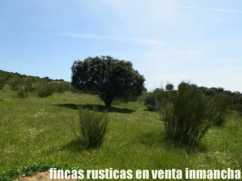Rural land for sale in Calzada de Calatrava, imagen 15
