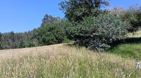 Photo 5 of Residential for sale in Vioño - Barrio San Pedro, Vioño, Cantabria