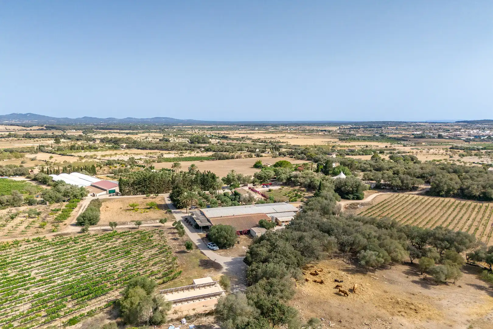 Finca rústica en venda en Porreres amb Aire condicionat, Calefacció i Parquet