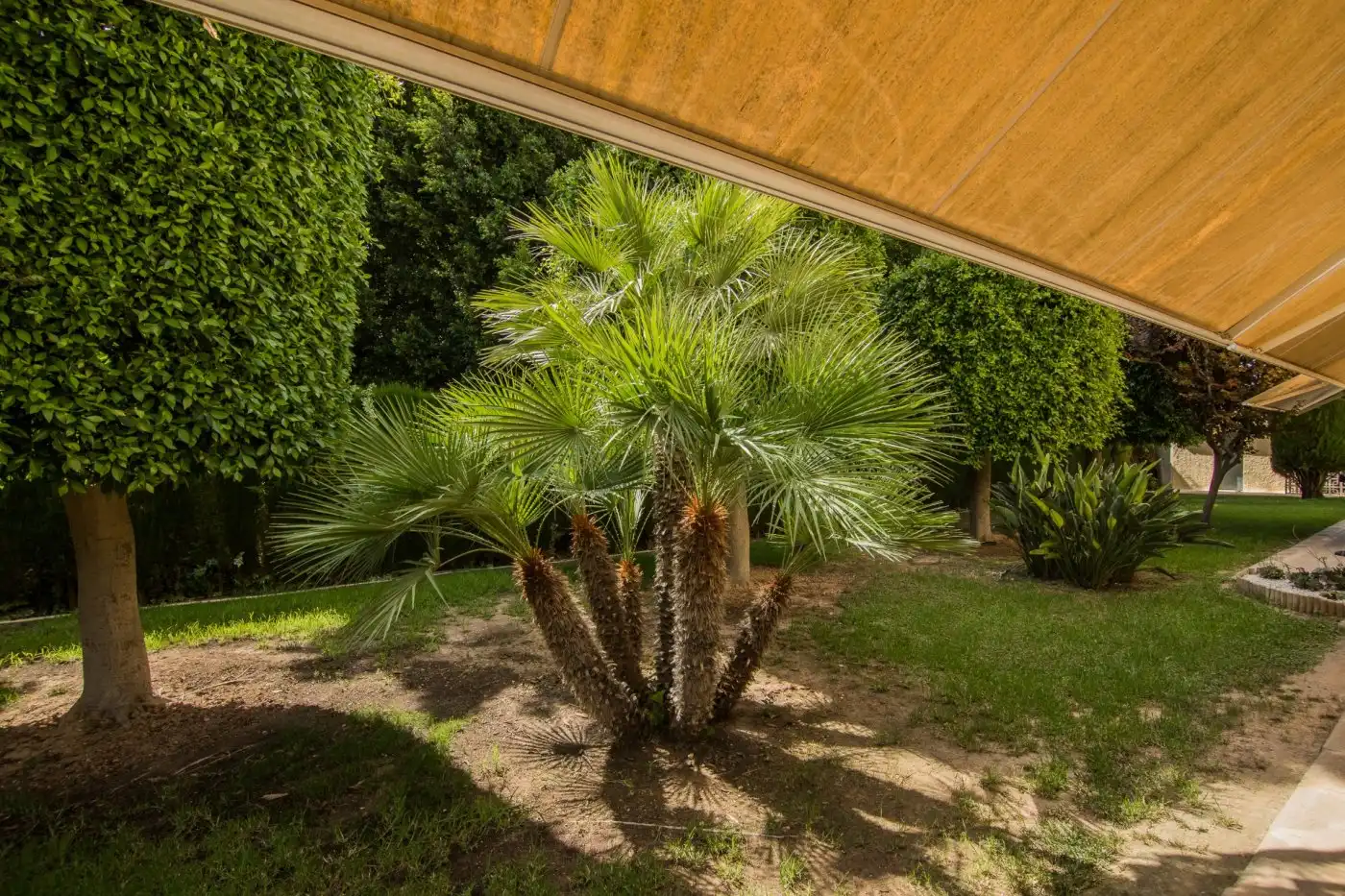 Villa con balcone in vendita a Alzabares, imagen 14
