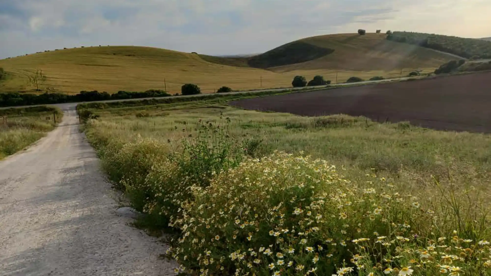 Vista exterior de Finca rústica en venta en Arcos de la Frontera