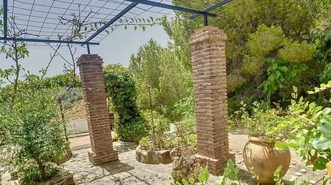 Foto 3 de Finca rústica en venda a Camino de Benamayor, 115o, Cómpeta, Málaga