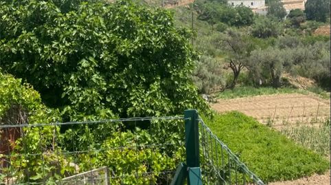 Foto 3 de Finca rústica en venta en Paraje Simones, 24, Albox, Almería