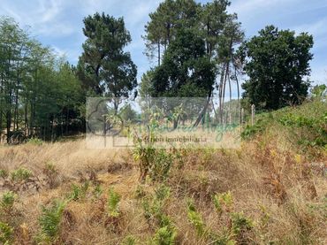 Terreno residenziale in vendita a O Porriño