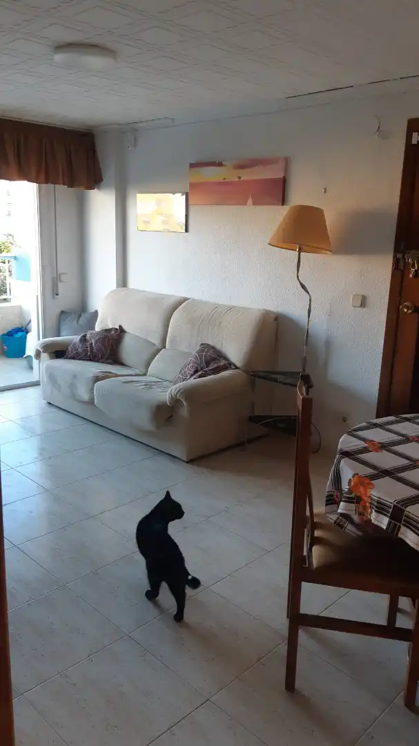 Apartament amb piscina de lloguer a Carrer de la Valldigna 19, imagen 8
