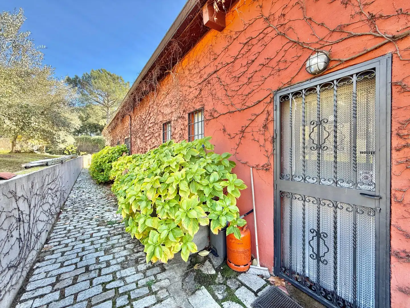 Vista exterior de Finca rústica en venta en Piedralaves con Jardín privado, Terraza y Trastero