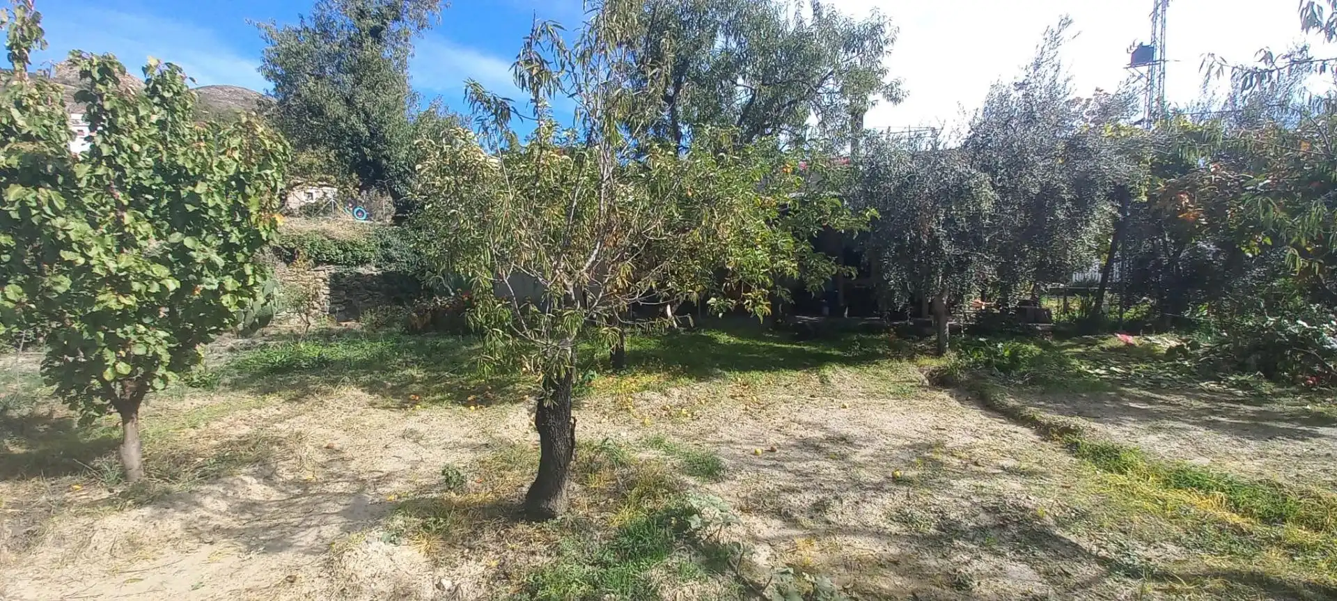 Casa rústica amb terrassa en venda a Cádiar, imagen 31