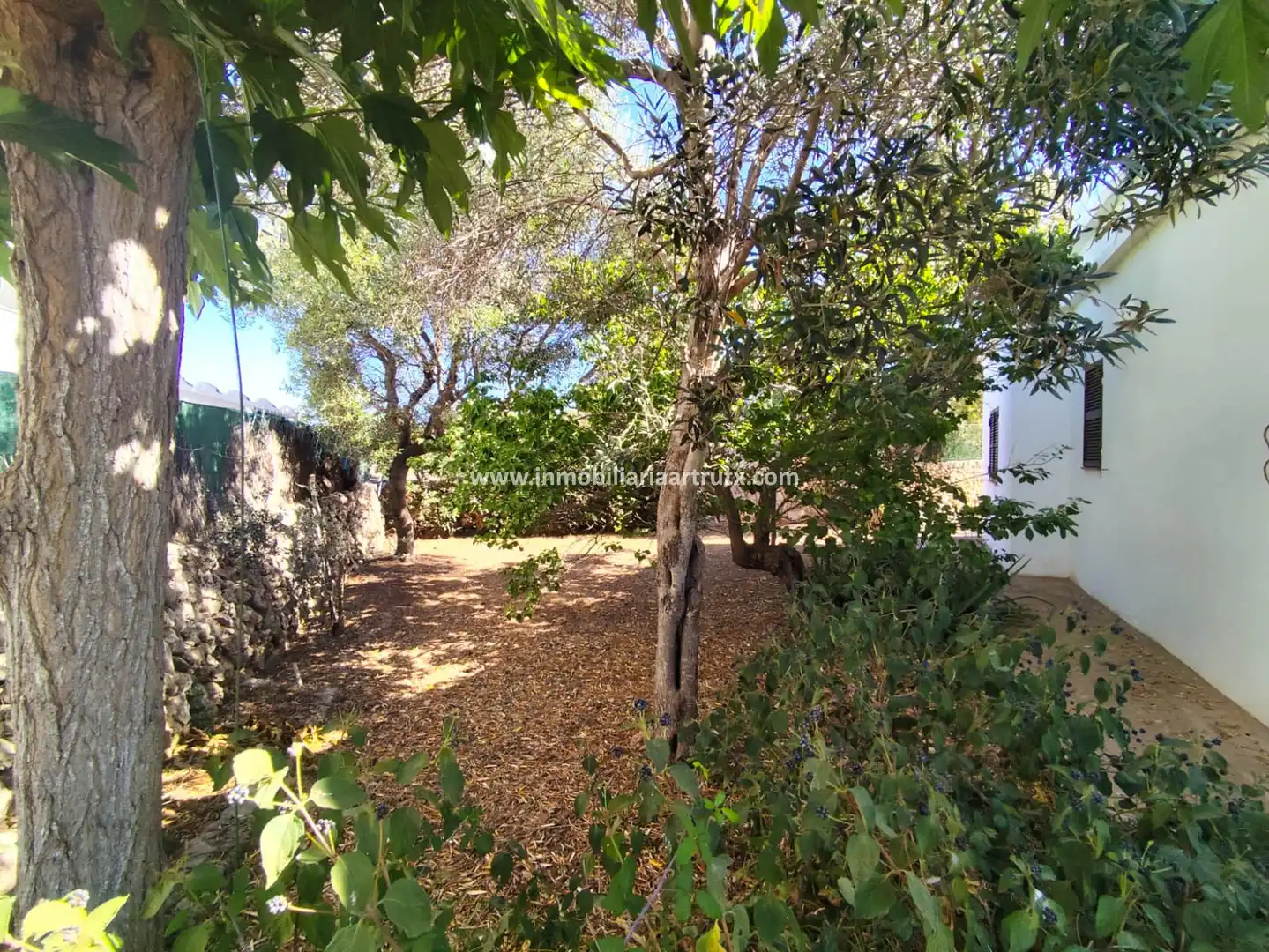 Villa mit Pool zum Verkauf in Cala Blanca, imagen 20