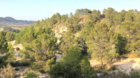 Photo 4 of Land for sale in  Lorca, S/n, Puntarrón, Murcia