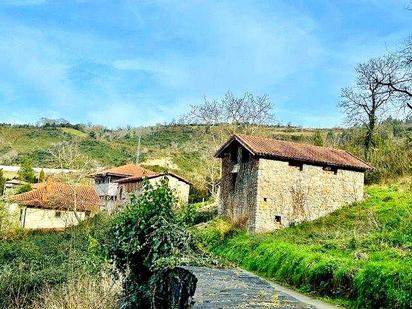 Exterior view of Country house for sale in Salas
