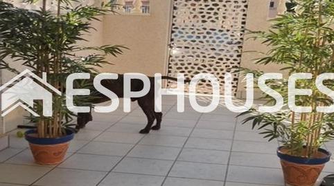 Photo 2 of Planta baja for sale in El Moncayo - El Pòrtic, Guardamar del Segura