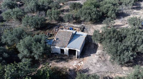 Finca rustica con blasa, agua de fuente y no luz.