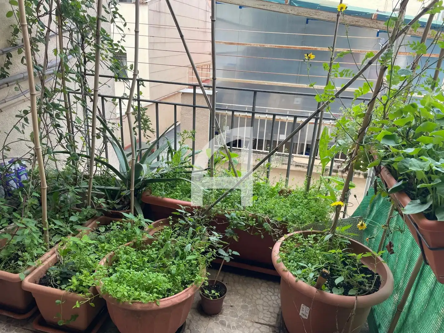 Terrasse von Wohnung zum Verkauf in Terrassa