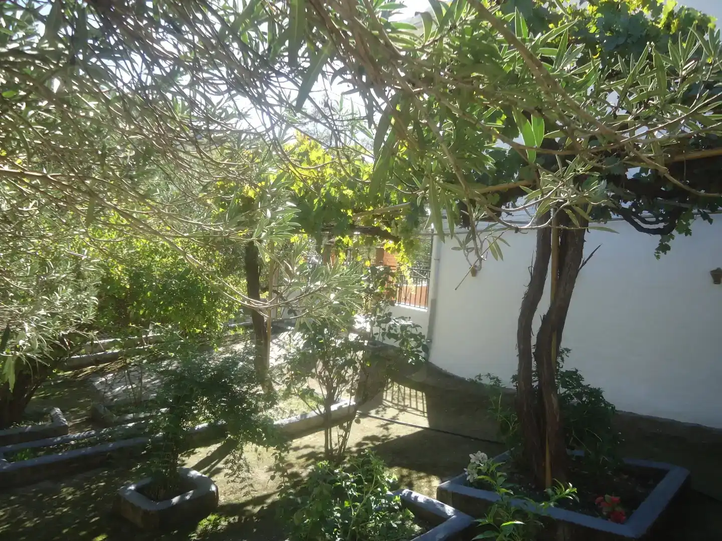 Jardí de Casa o xalet en venda en Iznájar amb Balcó