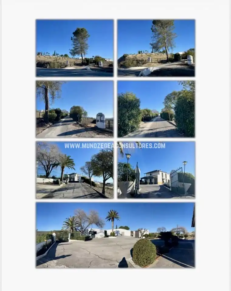 Vista exterior de Casa o xalet en venda en Lucena amb Aire condicionat, Jardí privat i Terrassa