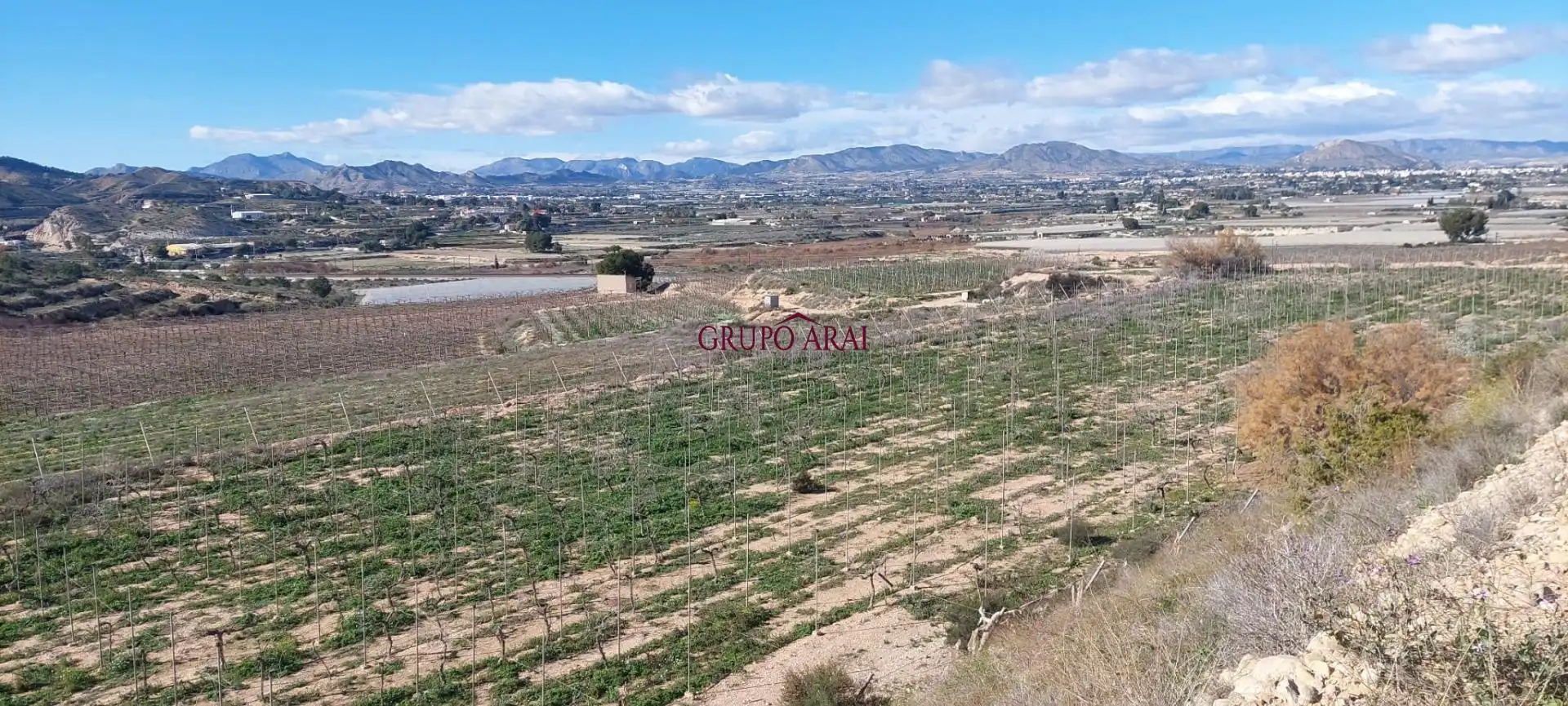Terreno rústico en venta en Avenida del Mediterráneo, imagen 4