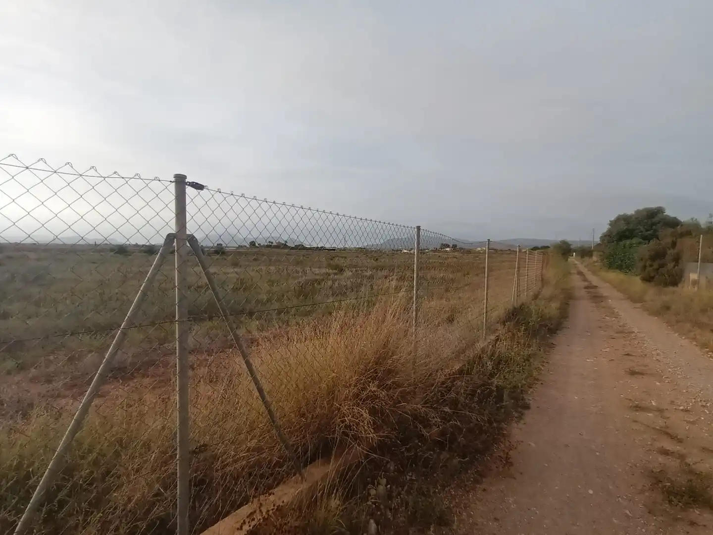 Terreny rústic en venda a Pedanías Oeste, imagen 2