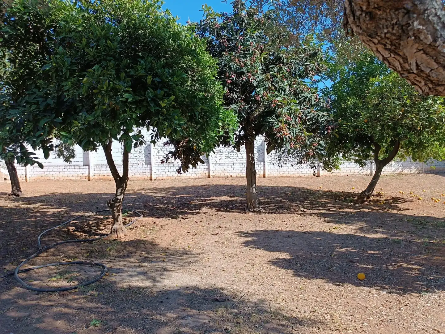 Terrain rustique à vendre à Urbanización Jimena M, imagen 22