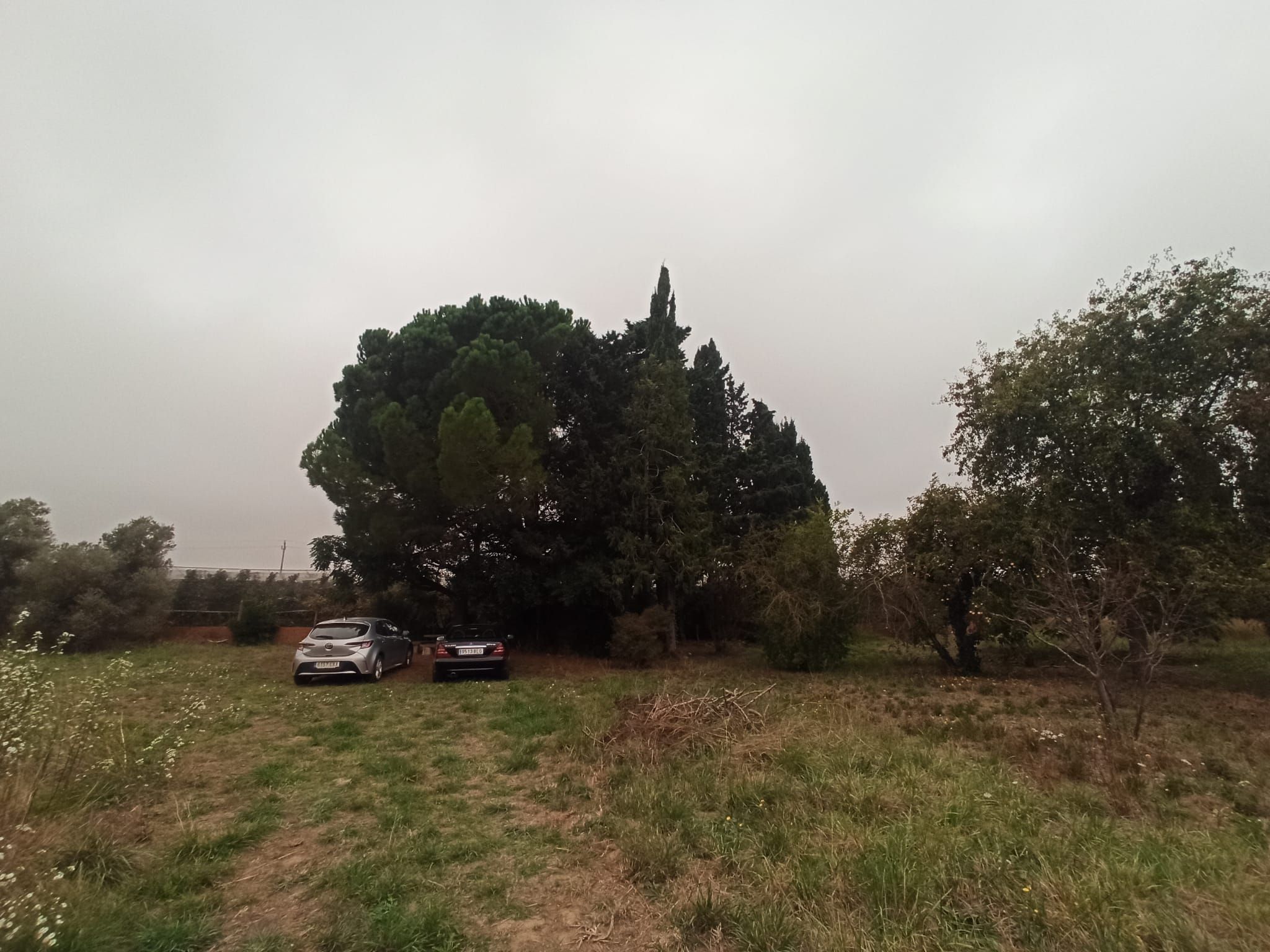 Land for sale in L'Armentera