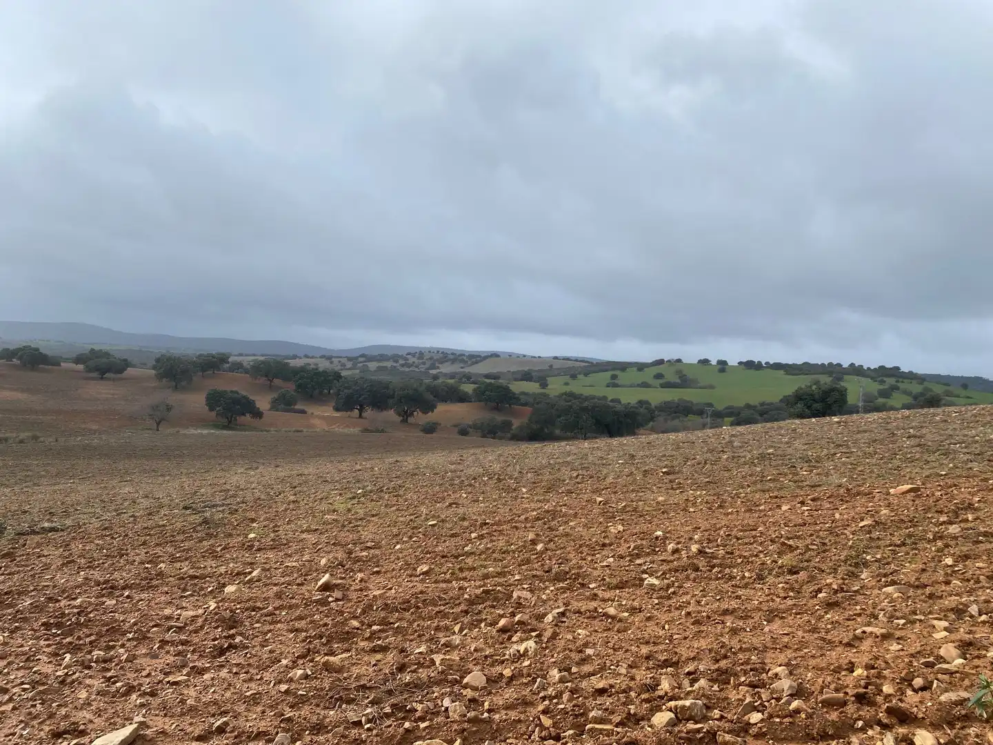 Terreno en venta en Anchuras
