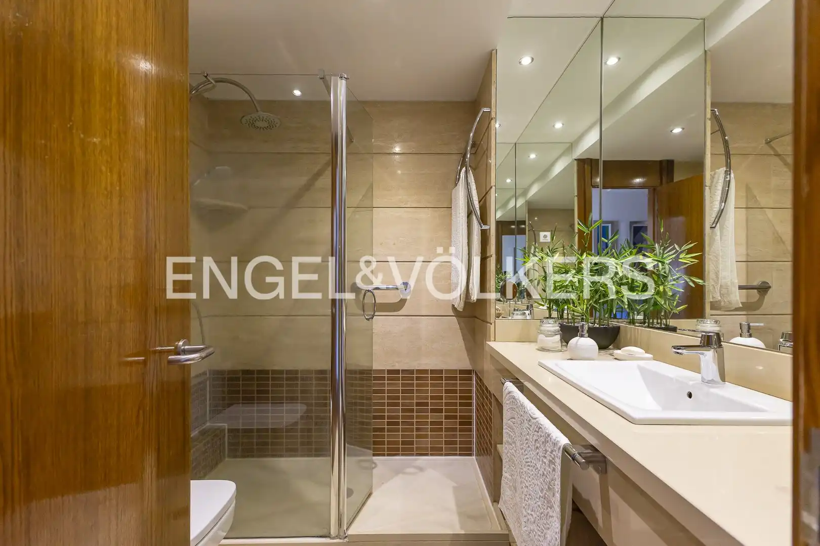 Bathroom of Detached homes for sale in Valdepastores - Las Encinas