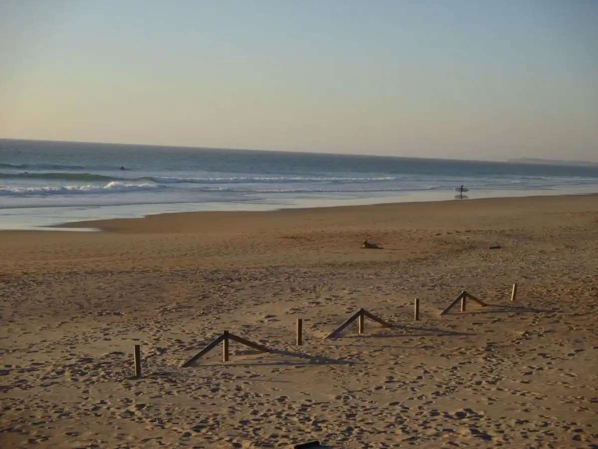 Grundstücke und Bauplätze zum Verkauf in El Palmar